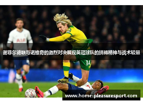 谢菲尔德联与诺维奇的激烈对决展现英冠球队的拼搏精神与战术较量